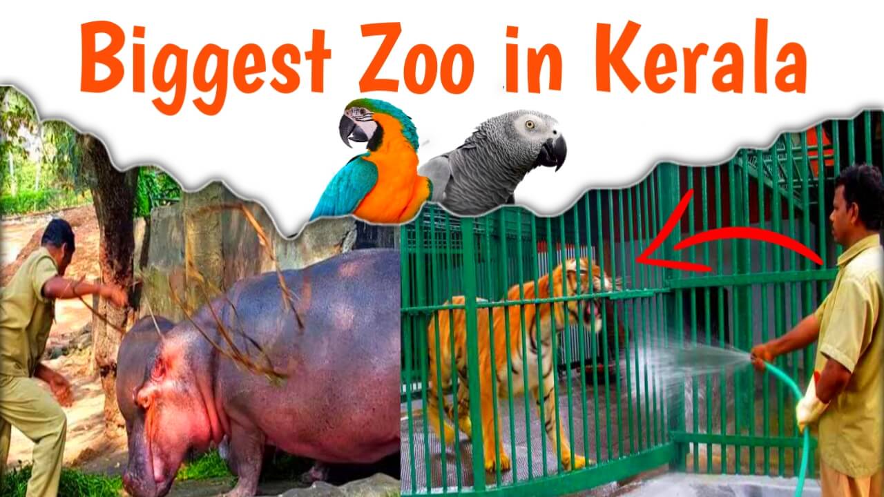 Trivandrum Zoo - Animal Videos & All Other Details | Best Zoo In Kerala