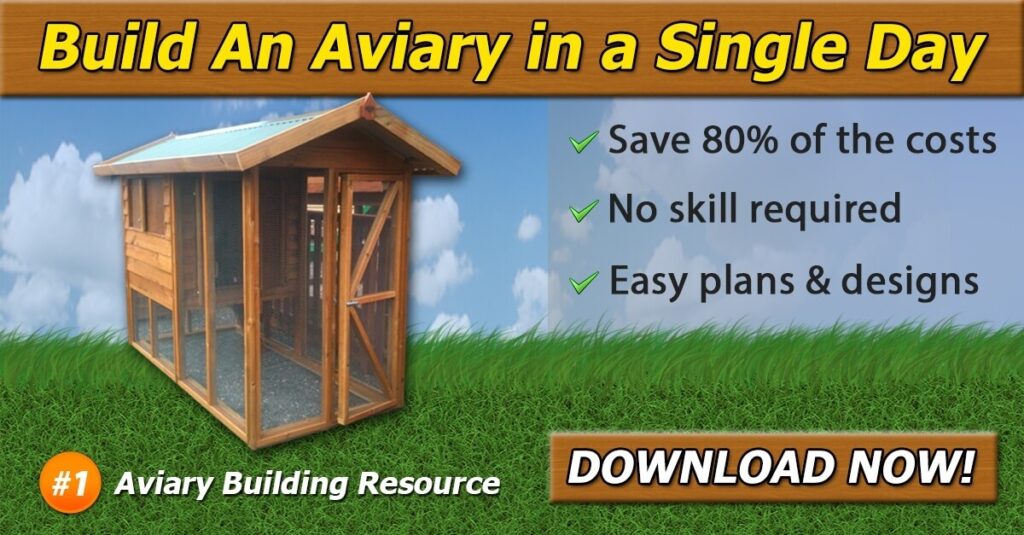 birds-Aviary-building